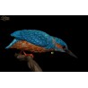 Kingfisher.Scale 90mm