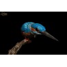 Kingfisher.Scale 90mm