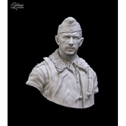 Werner Molders.Bust 1/10