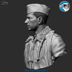 Werner Molders.Bust Scale 1/12