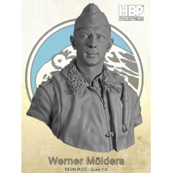 Werner Mölders.Bust scale 1/6