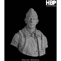 Werner Mölders.Bust scale 1/6