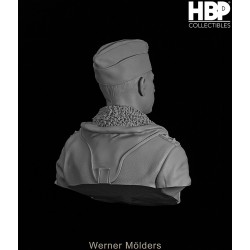 Werner Mölders.Bust scale 1/6