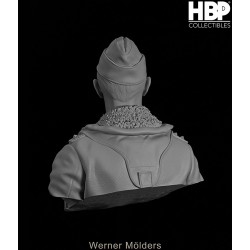 Werner Mölders.Bust scale 1/6