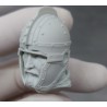 Roman Army IV th Century.Exclusive .Bust 1/10