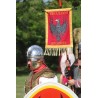 Roman Army IV th Century.Exclusive.Scale 100mm