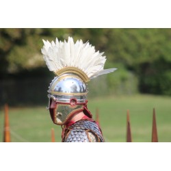 Roman Army IV th Century.Exclusive.Scale 100mm