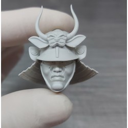 Samurai .Bust scale 1/10