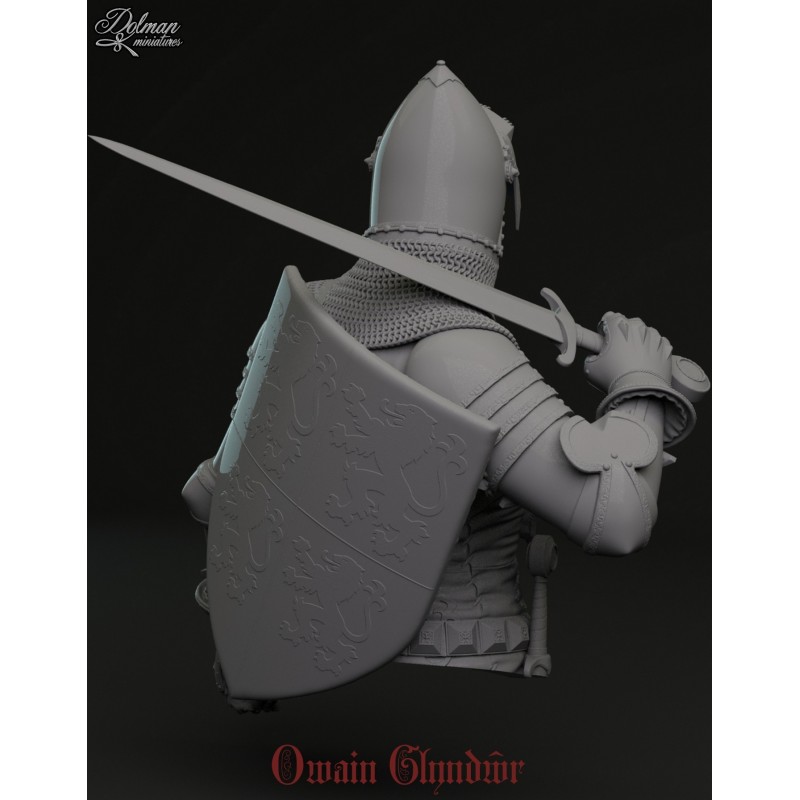 Robert The Bruce Exclusive .Scale 100mm