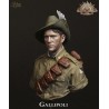 Gallipoli.Bust Scale  1/10