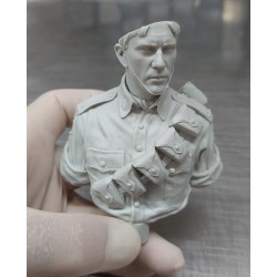 Gallipoli. Bust scale  1/6