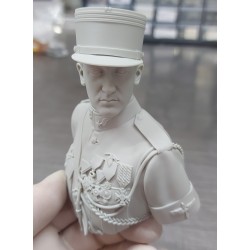 G.Guynemer.Bust scale 1/6