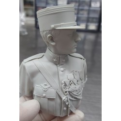 G.Guynemer.Bust scale 1/6