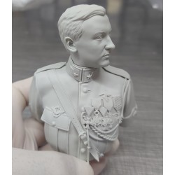 G.Guynemer.Exclusive.Bust scale 1/6