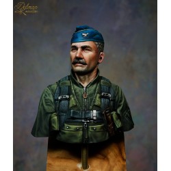 Robin Olds.Bust Scale 1/10