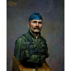 Robin Olds.Bust Scale 1/10