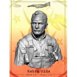 Robin Olds.Bust Scale 1/12