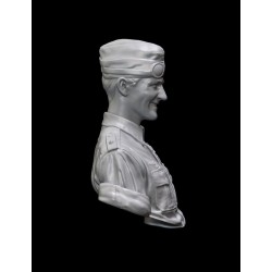 H.J.Marseille.Bust scale 1/10