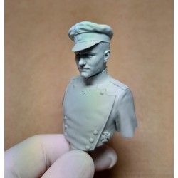 Manfred von Richthofen. Bust 1/10