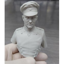 The Red Baron.Bust scale 1/6