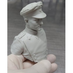 The Red Baron.Bust scale 1/6