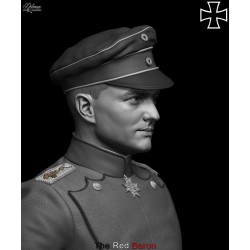 The Red Baron.Bust scale 1/6