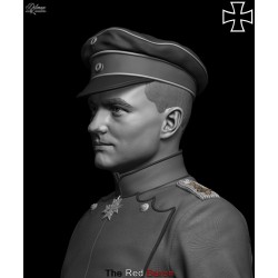 The Red Baron.Bust scale 1/6