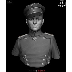 The Red Baron.Bust scale 1/6