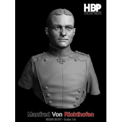 Manfred Von Richthofen.Bust scale 1/6