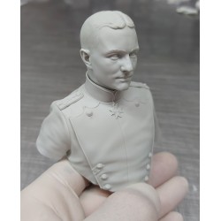 Manfred Von Richthofen.Bust scale 1/6