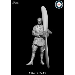 Albert Ball.Scale 80mm