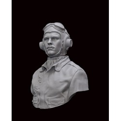 George Preddy, Bust 1/12