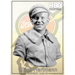 Erich Hartmann.Bust Scale 1/6