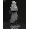 Robert The Bruce .Scale 100mm