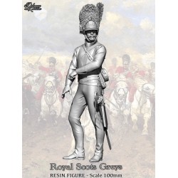 Royal Scots Greys .Scale 100mm