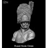 Royal Scots Greys.Exclusive Bust 1/10
