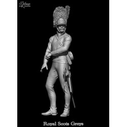 Royal Scots Greys .Scale 100mm