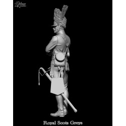 Royal Scots Greys .Scale 100mm