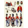 Royal Scots Greys .Scale 100mm