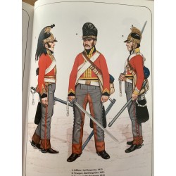 Royal Scots Greys .Scale 100mm