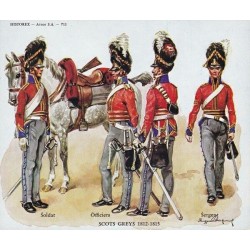 Royal Scots Greys .Scale 100mm