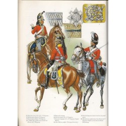 Royal Scots Greys .Scale 100mm