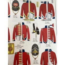 Royal Scots Greys .Scale 100mm