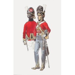 Royal Scots Greys .Scale 100mm