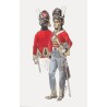 Royal Scots Greys .Scale 100mm