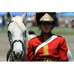 Royal Scots Greys.Exclusive Bust 1/10