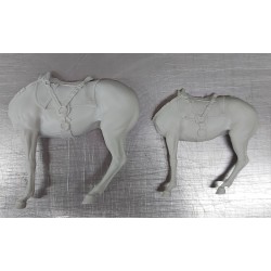 The Rough Riders.Scale 100mm