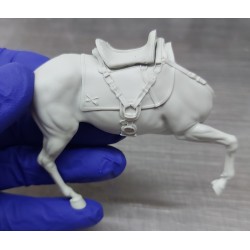 The Rough Riders.Scale 80mm