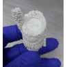 Royal Scots Greys. Special Bust 1/10