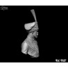 HBP .The Tsar. Bust Scale 1/6